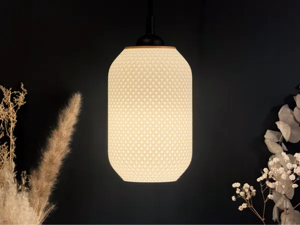 https://makerworld.bblmw.com/makerworld/model/US6fe85e4e3f7d4b/design/2025-01-21_bf7ff7c79f53d.jpeg