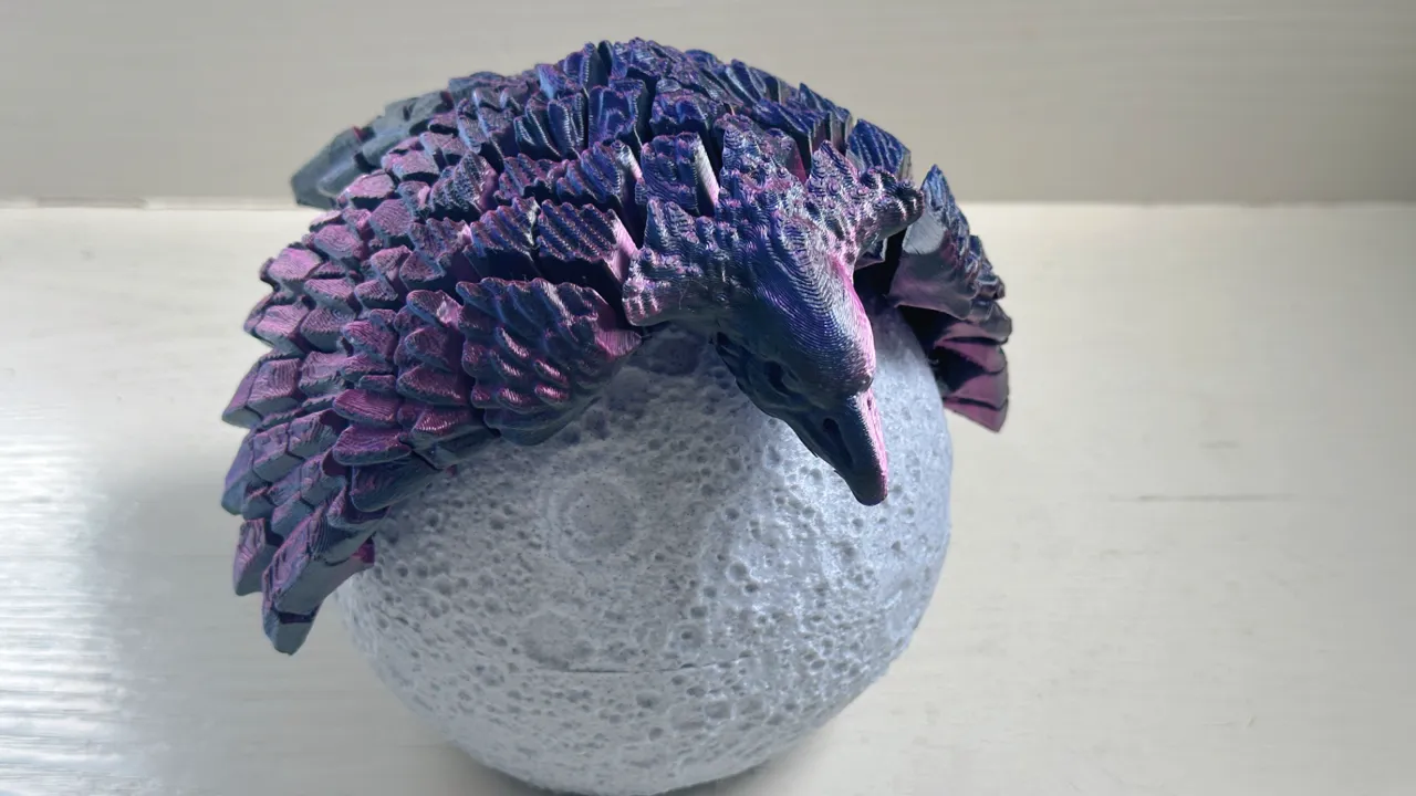 Two flexi Bird view 2