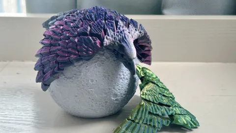 Two flexi Bird view 3