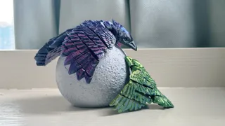 Two flexi Bird