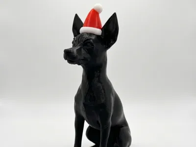 Toy terrier with Christmas hat