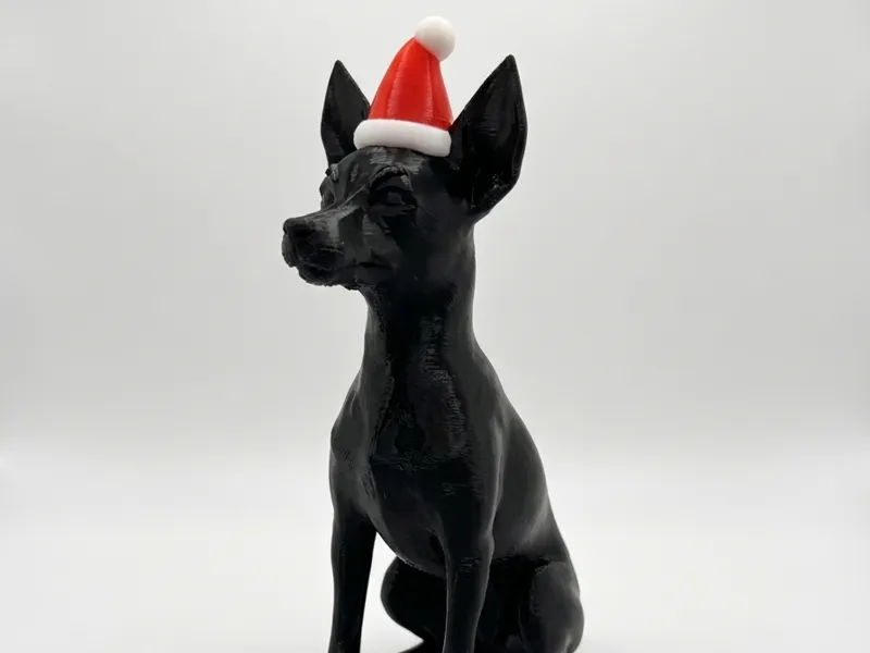 Toy terrier with Christmas hat