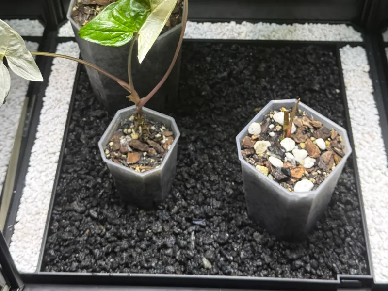 Rudsta Tall Humidity Base Tray Set