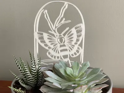 Moth plant trellis