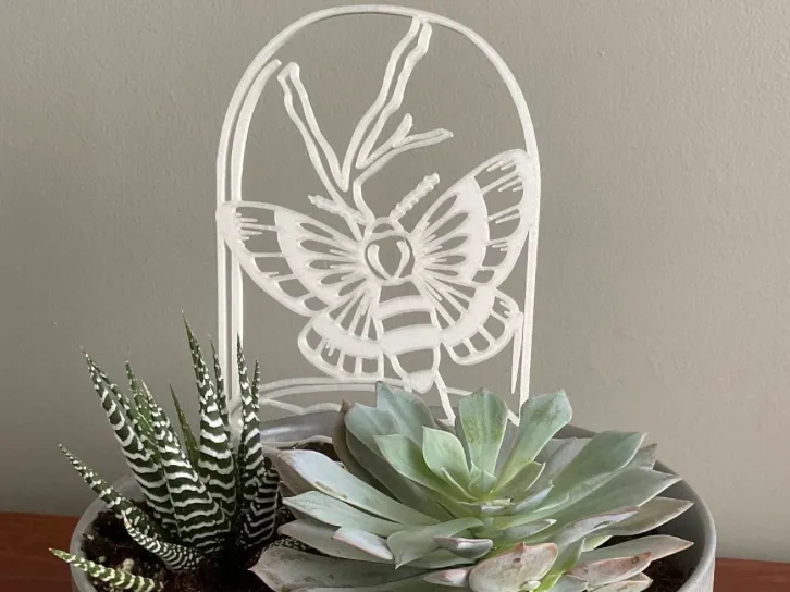 Moth plant trellis