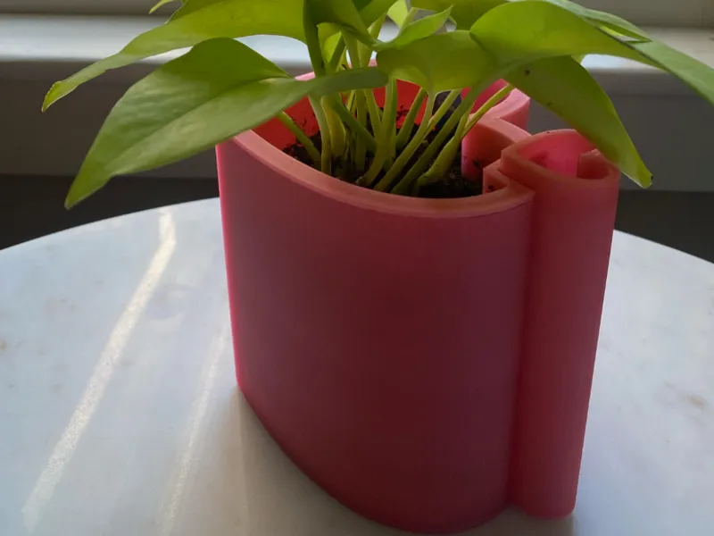 Self-watering Heart shaped pot