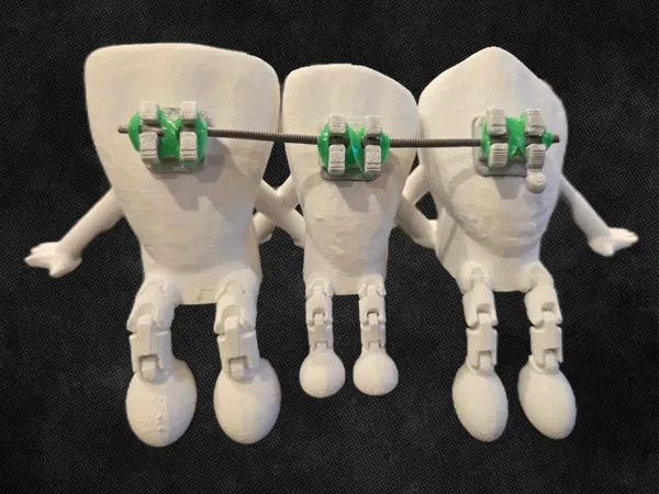 https://makerworld.bblmw.com/makerworld/model/US6fffa1778ae0fb/design/2025-01-29_1f0ce1872ecfd.jpg