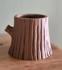 Tree stump without hole