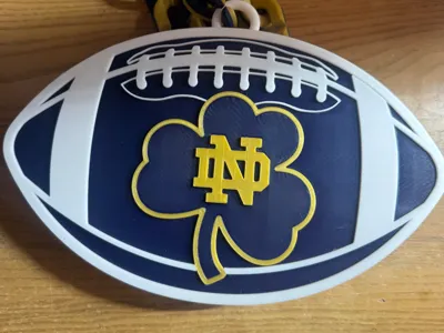 Notre Dame Hype