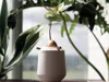 Booa Design | AK02 for 6-7oz cups