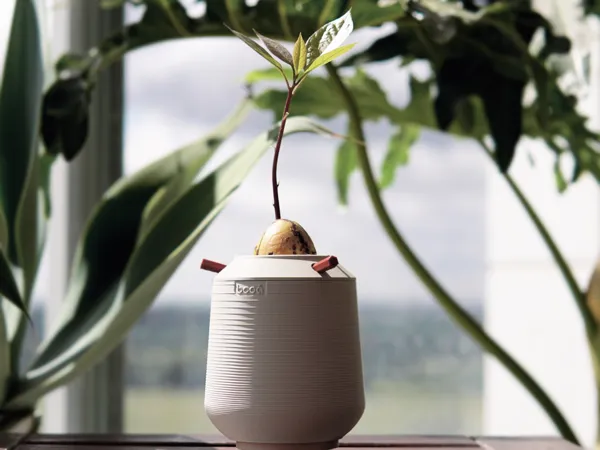 https://makerworld.bblmw.com/makerworld/model/US7004f1f83ddf5d/design/89029906b52a93b9.jpg
