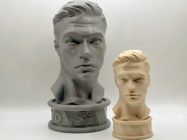 https://makerworld.bblmw.com/makerworld/model/US7010f84062c8b8/design/2025-01-04_78a45a369e9be8.jpg