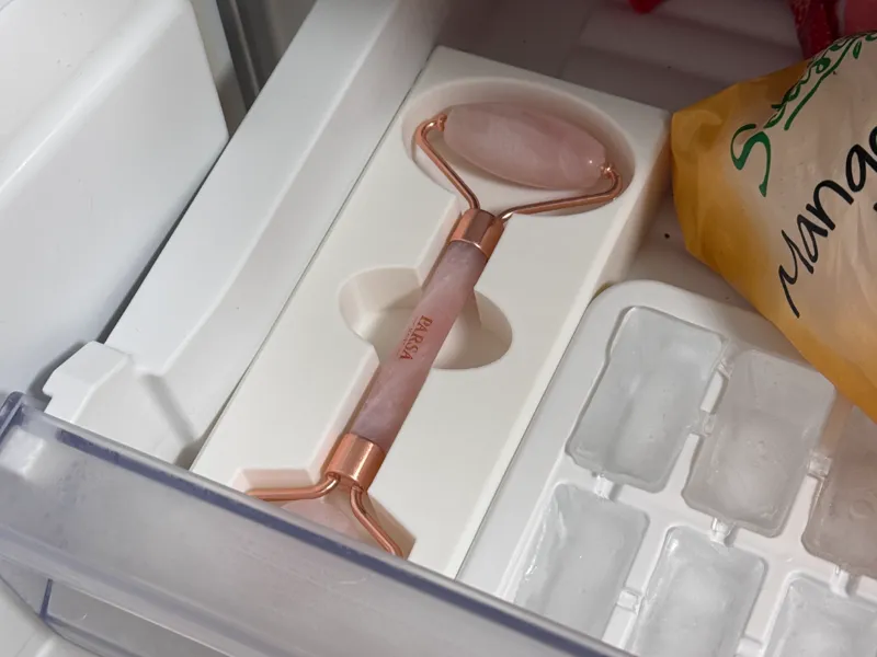 Face Roller Aufbewahrungsbox (Tiefkühlfach)