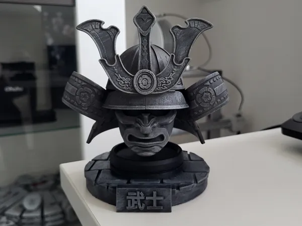 https://makerworld.bblmw.com/makerworld/model/US7013711528e96e/design/2025-03-25_7cf4dd9f67bfa8.jpg