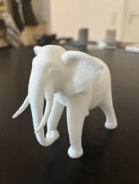 0.16mm layer, 2 walls, 15% infill, fuzzy skin