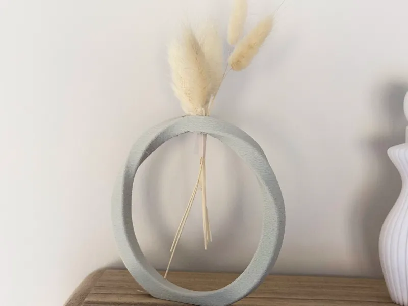 Dry plant vase, fuzzy texture
