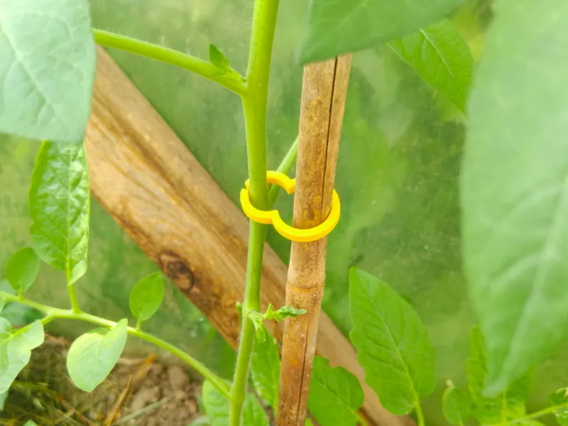 Plant Clip
