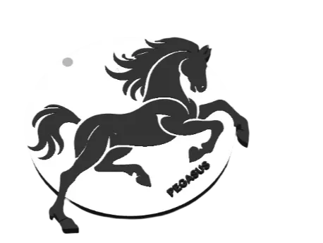 Pegasus