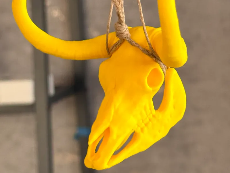OX Skull Sculpture