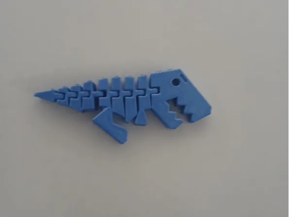 dinus keychain