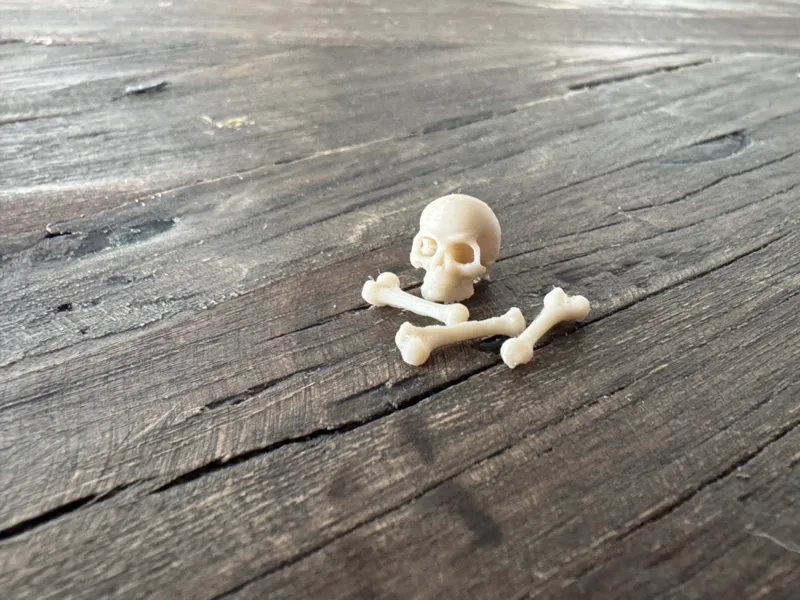 Skull & Bones