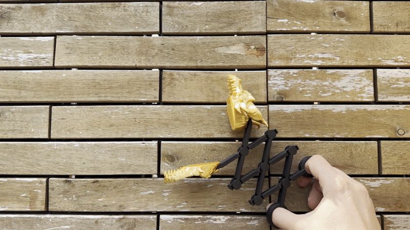 Articulated Dragon Claw Snaps (NOAMS)