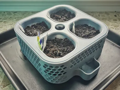 Seed Starting