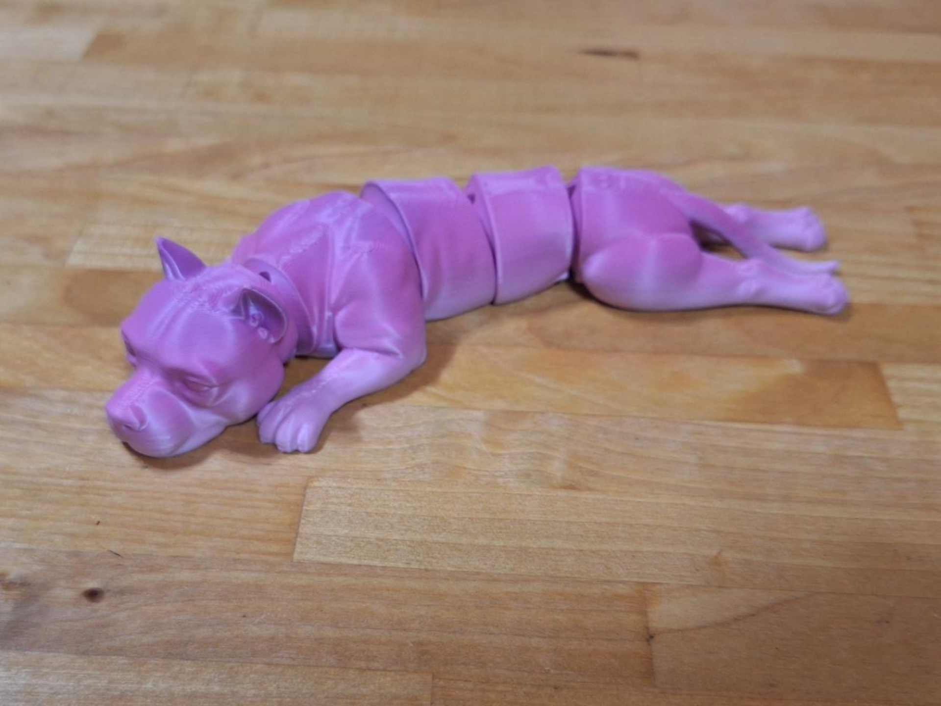 Pitbull Flexi - 1