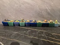盆