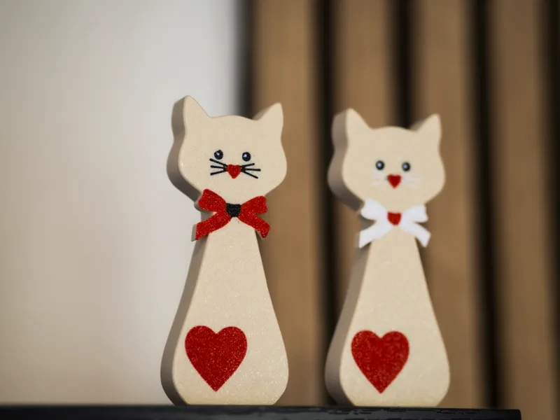 Cats with heart