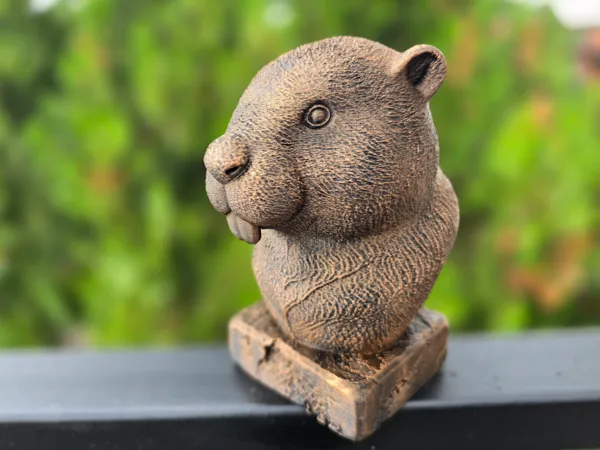 https://makerworld.bblmw.com/makerworld/model/US70314916f4c7b9/design/2025-07-14_e9038357760468.jpg