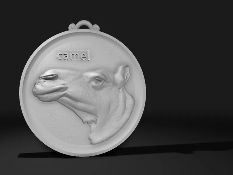 CamelCoin