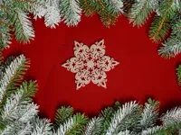 Flocons de neige décoratifs — photo 8