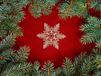 Flocons de neige décoratifs — photo 4