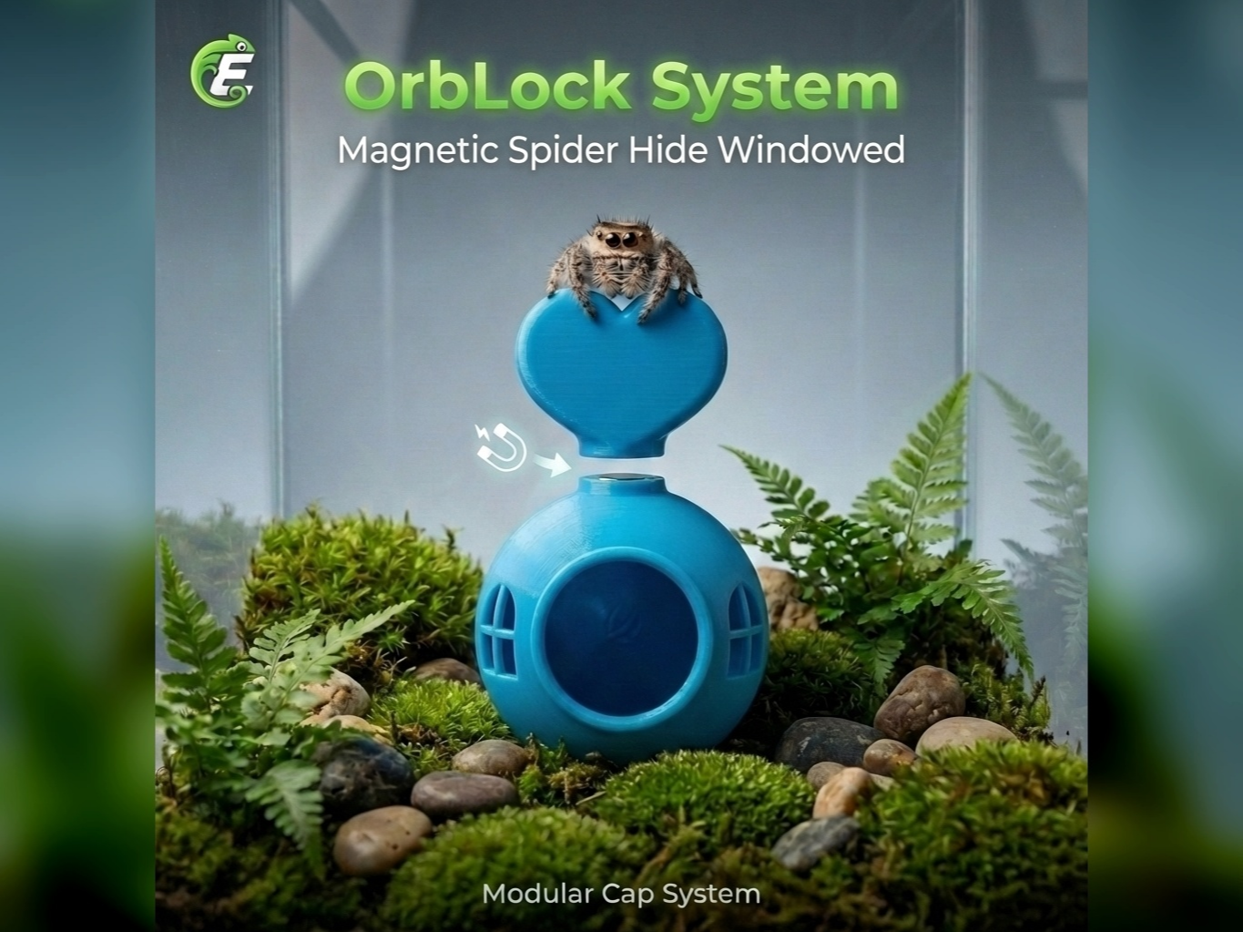Jumping Spider OrbLock Hide – Magnetic (Windowed)