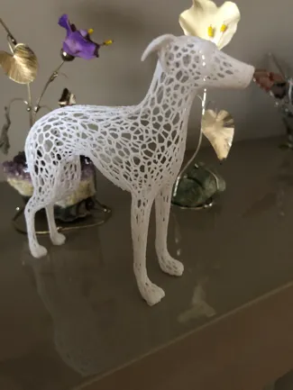 italian_greyhound and greyhound