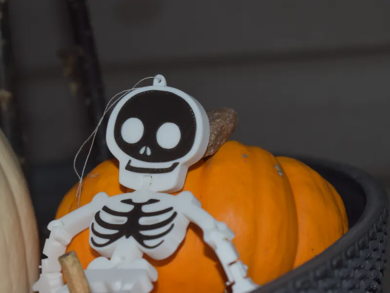 Flex Skeleton