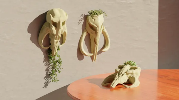https://makerworld.bblmw.com/makerworld/model/US703ef53263c6bb/design/2024-04-01_6imp1rnuywgc.png