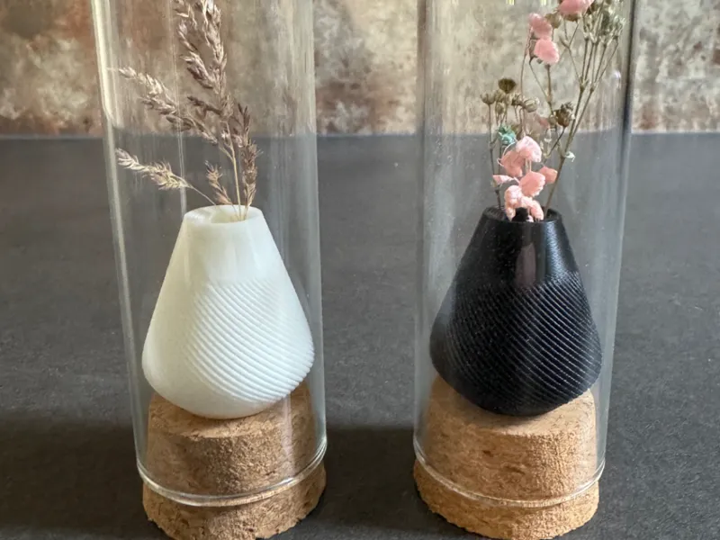 Reagenzglas mit Vase und Blume