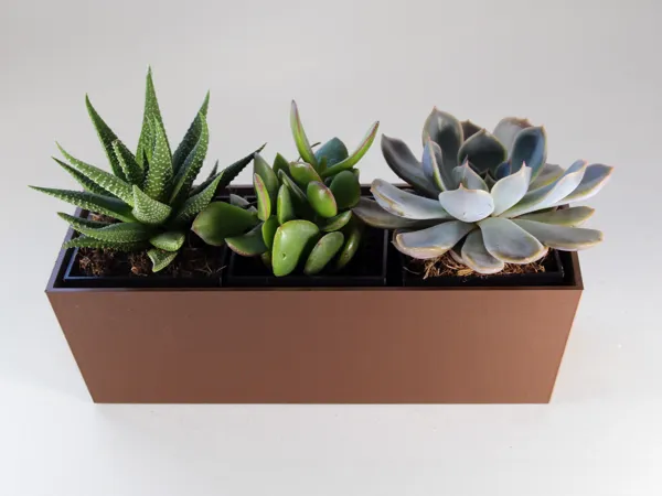 https://makerworld.bblmw.com/makerworld/model/US70423a26748513/design/2025-03-30_7c85a94802937.jpg