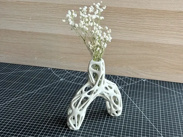 https://makerworld.bblmw.com/makerworld/model/US70435b380a641b/design/2024-08-09_e23a91138da58.jpg