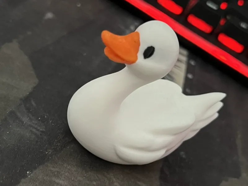 Passenger duck