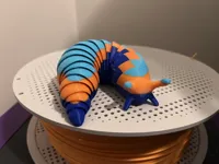 Limace articulée — photo 3