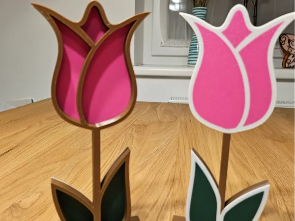 https://makerworld.bblmw.com/makerworld/model/US704bbdc6b71def/design/2025-03-17_e0f338cb852468.jpg