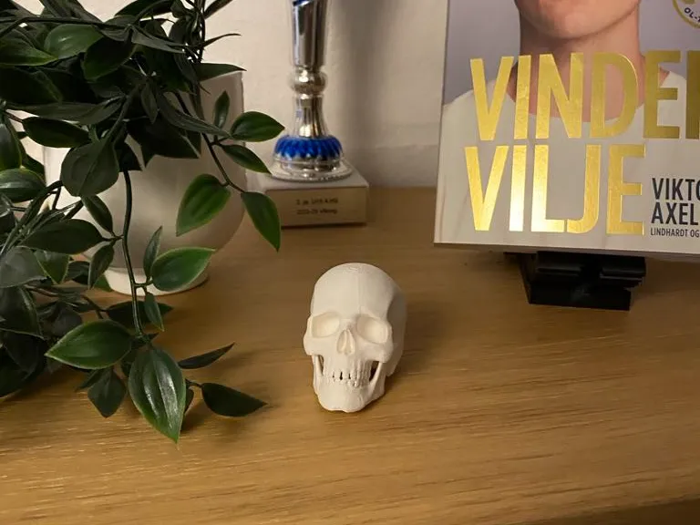 Skull