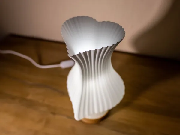 https://makerworld.bblmw.com/makerworld/model/US704ce8f5aadcb6/design/2025-01-30_e26a729d95558.jpg