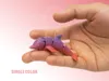 dolphin one color