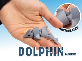 Dolphin