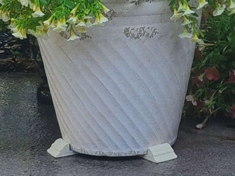 Classic Pot Foot