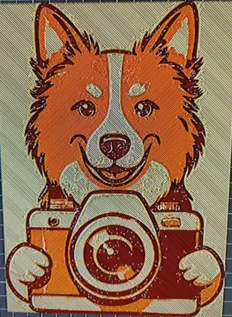 Chien Photographe